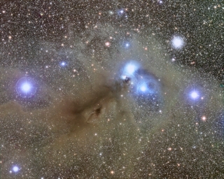 malin-corona-australis-reflection-nebula-320