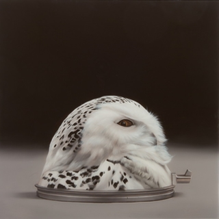 Sam Leach - Owl